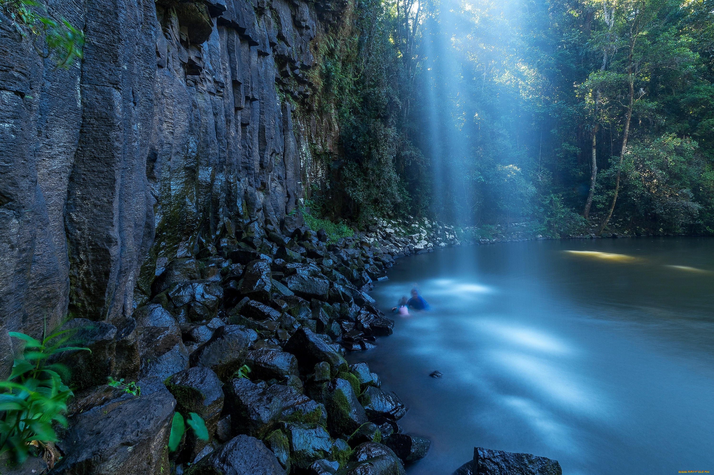 �������, ����, �����, ������